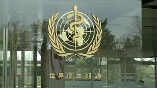 WHO: 8 hét után már nem adható át szexuális úton a zika vírus