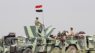 بدء عملية واسعة للجيش العراقي لاستعادة الفلوجة