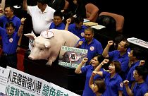 Тайвань: американская свинина не пройдет!