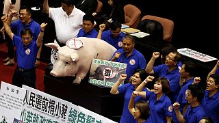 یک خوک بزرگ مصنوعی نماد اعتراض در پارلمان تایوان