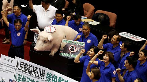 Piggy protest in Taiwan parliament