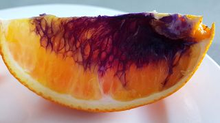 Australian woman sent this orange, which turned purple, to the Queensland H