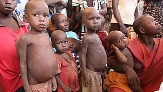 Niger : la malnutrition atteint le seuil d'urgence