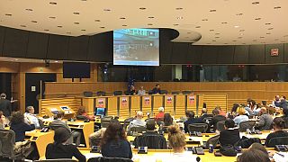 Οι Έλληνες «Μικροί Ήρωες» στο Ευρωκοινοβούλιο