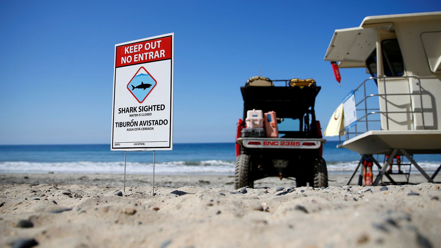 Image: Shark Attack