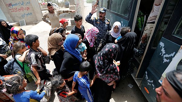 Civilians flee Fallujah as battle for besieged Iraqi city intensifies Civilians flee Fallujah as battle for besieged Iraqi city intensifies