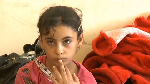 Fleeing Fallujah