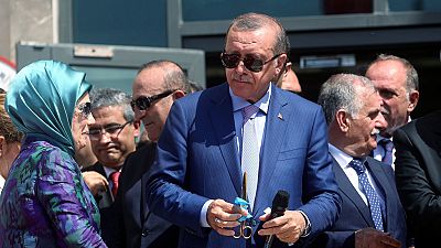 After African tour, Erdogan says a woman is 'incomplete' without children