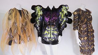 Bjork's unique stage attire up for auction