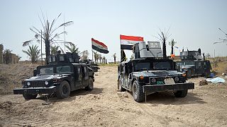 Continúa la ofensiva iraquí para liberar Faluya mientras empeora la crisis humanitaria