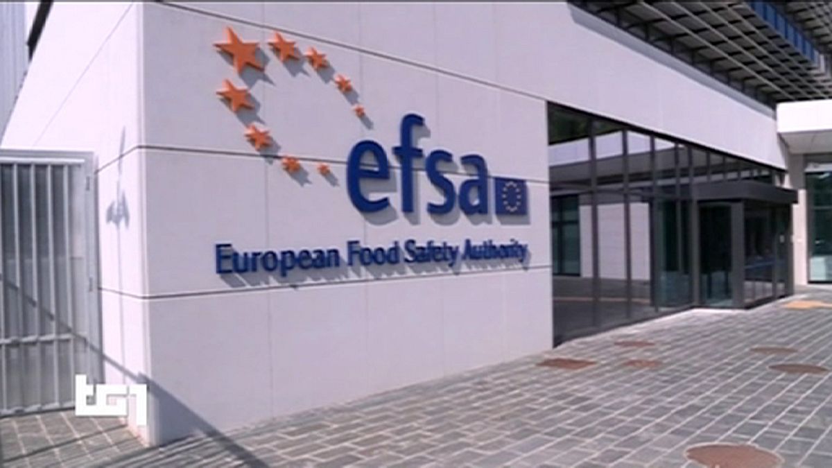 European food safety office evacuated after explosives found