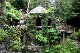 Tens of thousands of larvae feast on trees in Belfast