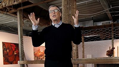 Bill Gates s'intéresse aux poulets