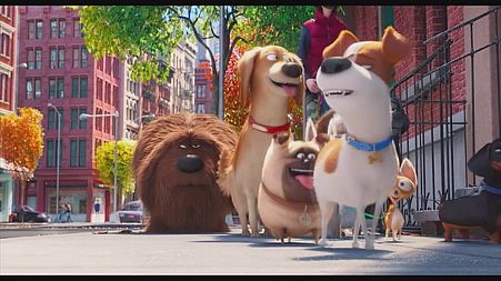 Pampered pooches get organised in The Secret Life of Pets