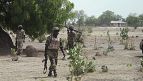 Senegal's Casamance forest facing depletion, environmentalists warn