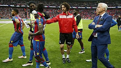 Adebayor, Chamakh released by Crystal Palace