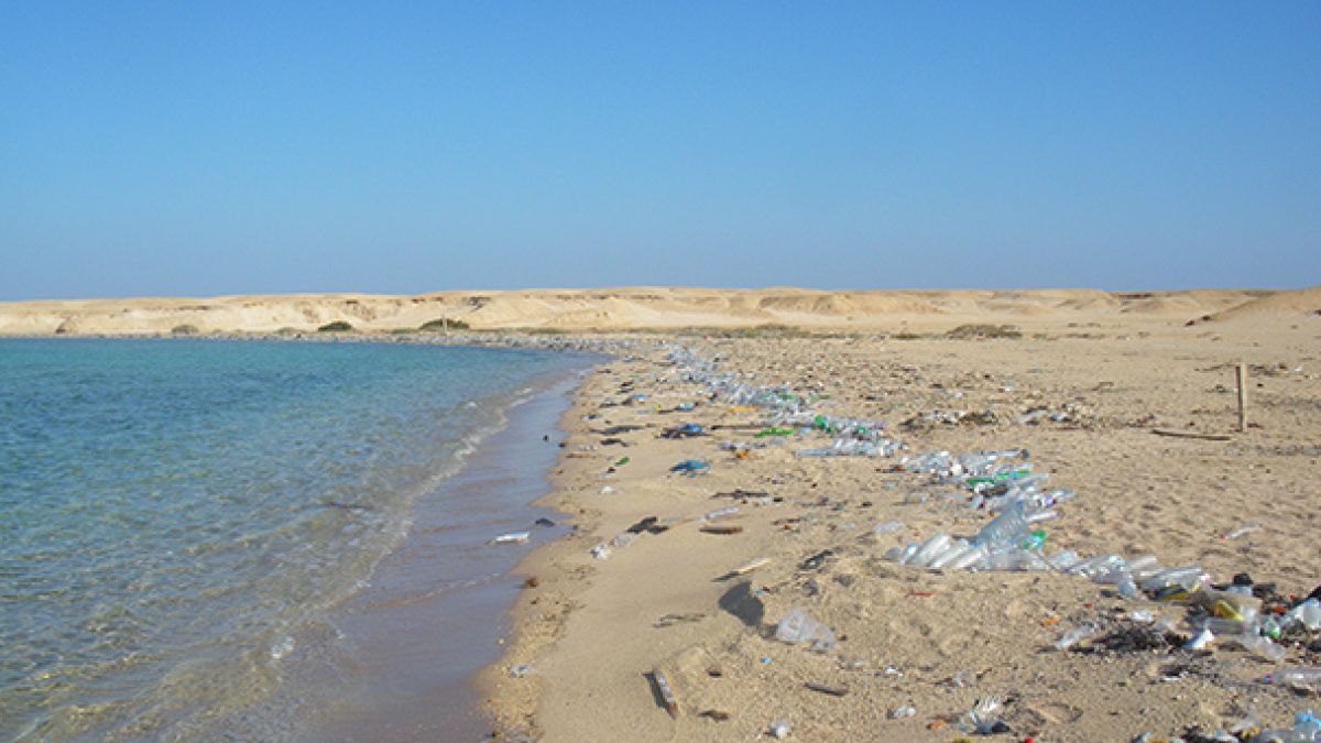 6,5 millions de tonnes de plastique par an : le calvaire des océans