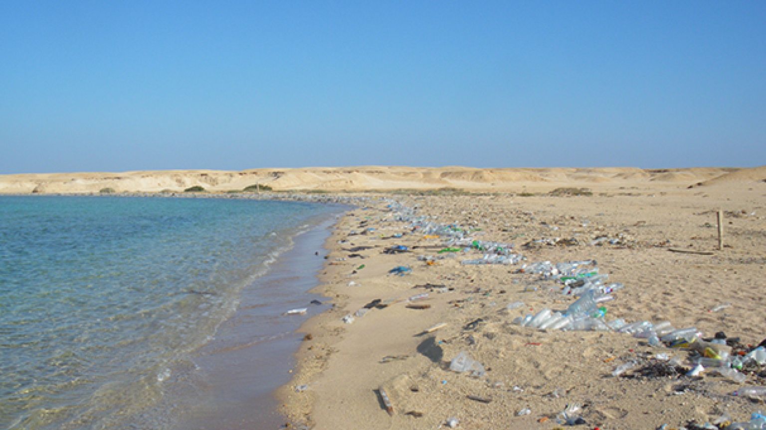 6,5 millions de tonnes de plastique par an : le calvaire des océans