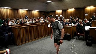 Pistorius 'displays' his vulnerability as prosecutor pushes for 15-yr jail term