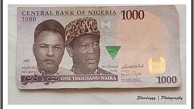 Le Nigeria autorise la dévaluation du naira
