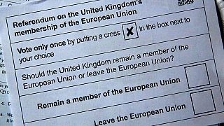 Jüngste Umfragen sehen Brexit-Befürworter klar vorn