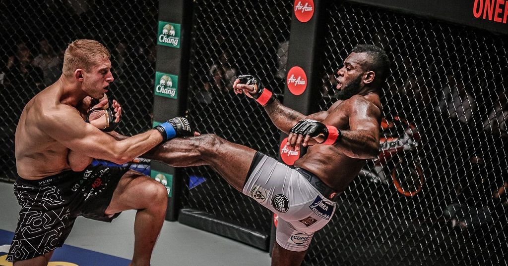 Mixed Martial Arts gaining popularity in Africa Africanews