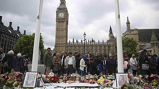 Family of murdered British MP Jo Cox pay tribute to 'perfect' relative