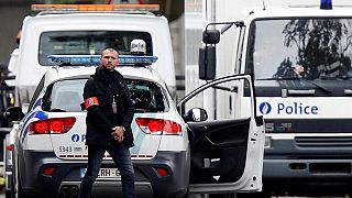 Twelve arrested in Belgium on suspicion of terror attacks