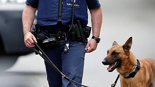 Bruxelles: ripresa circolazione treni dopo allarme bomba in stazione