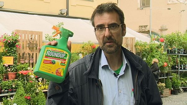 Riscos do glifosato dividem cientistas e políticos europeus Riscos do glifosato dividem cientistas e políticos europeus