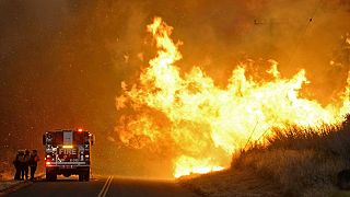 EUA: Vento forte e temperaturas altas não dão descanso aos bombeiros na Califórnia