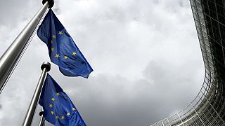 The future of the European Union reaches a crossroads with the British referendum