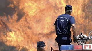 Κύπρος: Νεκρός δασοπυροσβέστης στη μεγάλη δασική πυρκαγιά