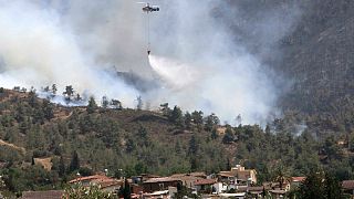 Κύπρος: Δεύτερος δασοπυροσβέστης νεκρός από τη φωτιά στο όρος Τρόοδος