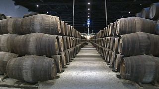 Porto şarabı üreticileri Brexit öncesi tedirgin