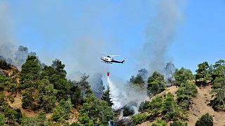 Κύπρος: Υπό έλεγχο η πυρκαγιά, ο κίνδυνος αναζωπυρώσεων παραμένει