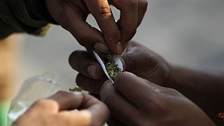 More drug addicts, but number of users remains stable - UN report