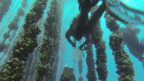 Takeaway: the secret of youth