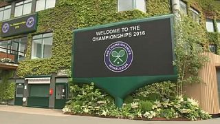 Wimbledon 2016 : aperçu des oppositions