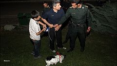 دستگیری ۱۵ نفر در یک پارتی، تکذیب ضبط سگ‌های خانگی در شاهین‌شهر