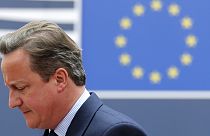 كاميرون يريد "أقوى علاقات ممكنة" بين بريطانيا والاتحاد الأوروبي