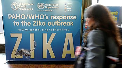Zika : deux vaccins efficaces contre des souris, espoir pour l'homme