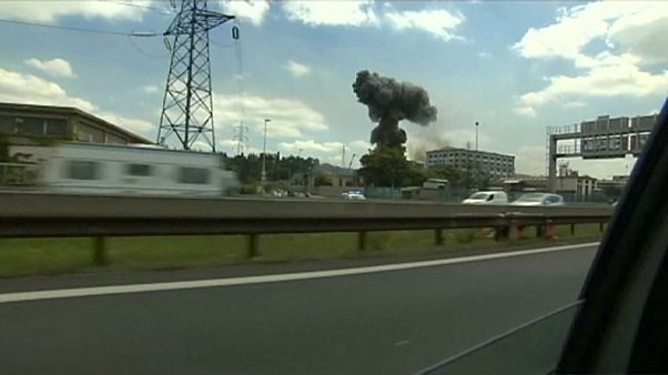 Francia, incendio in fabbrica sobborgo di Lione: un morto Francia, incendio in fabbrica sobborgo di Lione: un morto