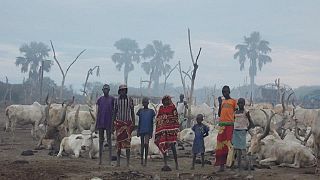 Soudan du Sud : grande famine à l'horizon (ONU)