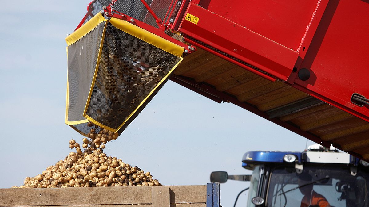 Rusya Batı ülkelerinden gıda ithalatına ambargoyu uzattı
