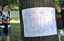 Minden fára más plakátot tettek a Ligetvédők