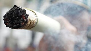 Canada govt forms panel to advise on marijuana legalization
