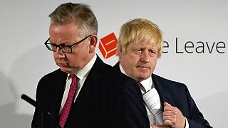 Critics round on Boris Johnson after Gove wields Brexit knife