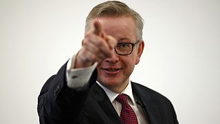 The UK needs a Brexit prime minister - Gove