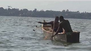 Illegal fishing 'killing' livelihoods across in West Africa